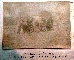 JAPÁN TÜZÉREK