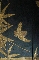 JAPANESE-ART EDO period JUBAKO lacquer GOLD and SILVER makie 21.2*22.8*37.5 cm. foto 5