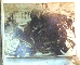 JAPANESE ARMY 10