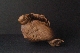 JAPANESE OKIMONO wood MONKEY foto 4