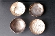 JAPANESE SILVER BOX, KOGO, signed 19th 9 cm. diam.foto 5