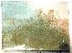 RUSSO ARMY 3