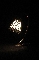 TIFFANY LAMP WHITE 2